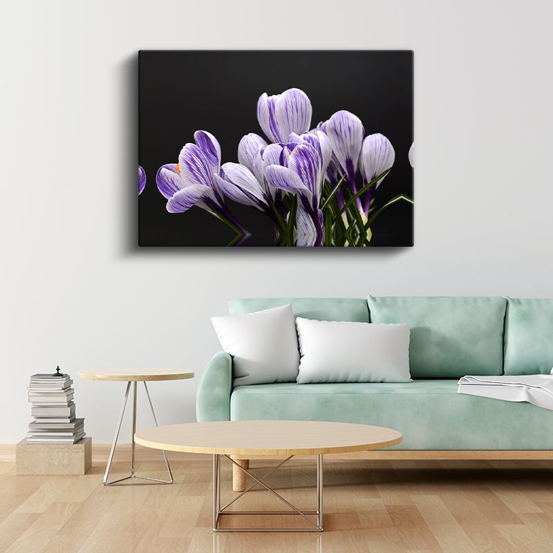 Mor Çiğdem - Siyah Fonlu Çizgili Çiçekler Kanvas Tablo