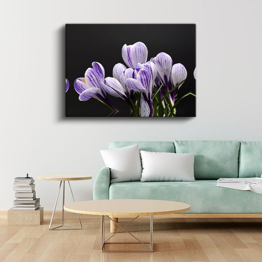 Mor Çiğdem - Siyah Fonlu Çizgili Çiçekler Kanvas Tablo