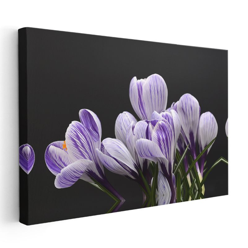 Mor Çiğdem - Siyah Fonlu Çizgili Çiçekler Kanvas Tablo