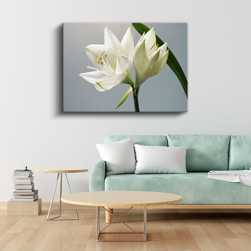 Beyaz Zambak - Zarif Çiçek Açılımı Kanvas Tablo