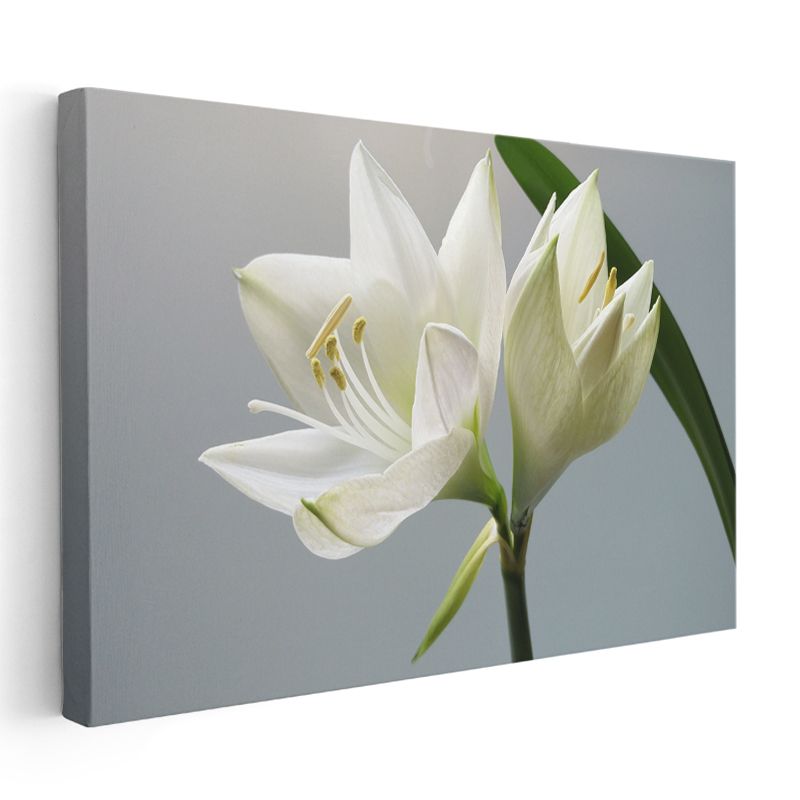 Beyaz Zambak - Zarif Çiçek Açılımı Kanvas Tablo