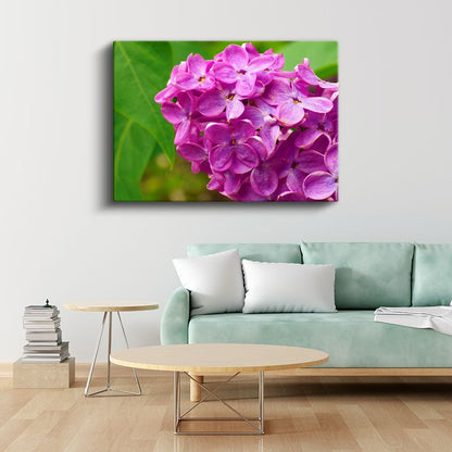 Mor Leylak - Yeşil Yapraklı Yakın Çekim Kanvas Tablo
