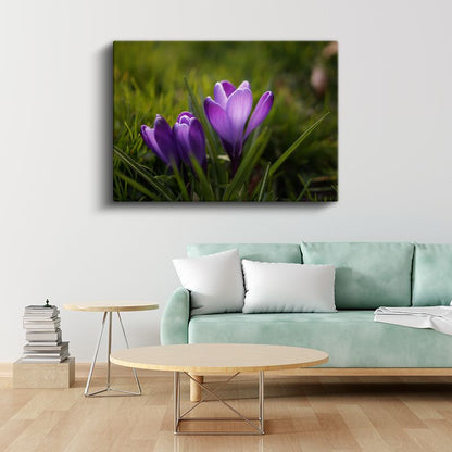 Mor Çiğdemler - Çimen Üzerinde Bahar Kanvas Tablo