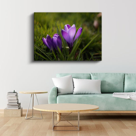 Mor Çiğdemler - Çimen Üzerinde Bahar Kanvas Tablo
