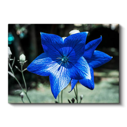 Mavi Çan Çiçeği - Damar Detaylı Çiçek Kanvas Tablo