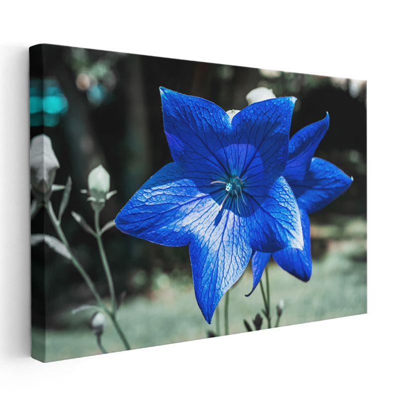 Mavi Çan Çiçeği - Damar Detaylı Çiçek Kanvas Tablo
