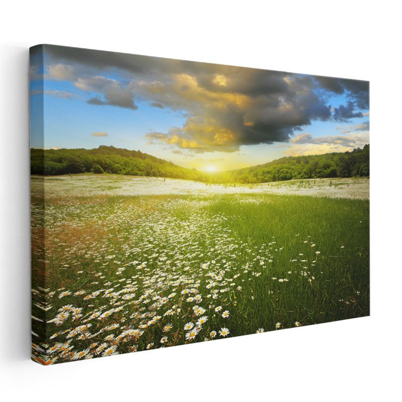 Papatya Tarlası - Gün Batımı Manzaralı Kanvas Tablo