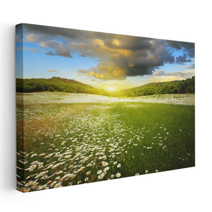 Papatya Tarlası - Gün Batımı Manzaralı Kanvas Tablo