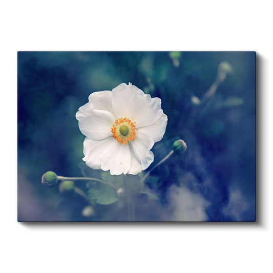 Beyaz Anemon - Turuncu Merkezli Zarif Çiçek Kanvas Tablo
