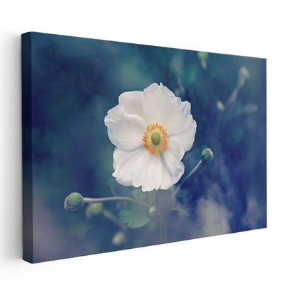 Beyaz Anemon - Turuncu Merkezli Zarif Çiçek Kanvas Tablo