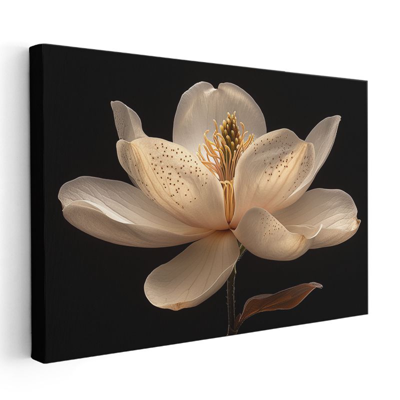 Krem Manolya - Siyah Fonlu Detaylı Çiçek Kanvas Tablo