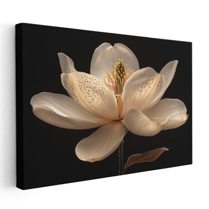 Krem Manolya - Siyah Fonlu Detaylı Çiçek Kanvas Tablo