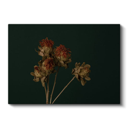 Kurumuş Çiçekler - Koyu Fonlu Vintage Kanvas Tablo
