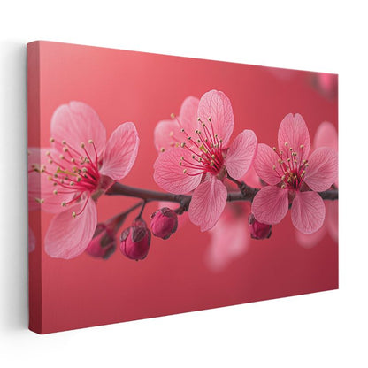 Pembe Çiçekler - Kırmızı Fonlu Bahar Dalı Kanvas Tablo