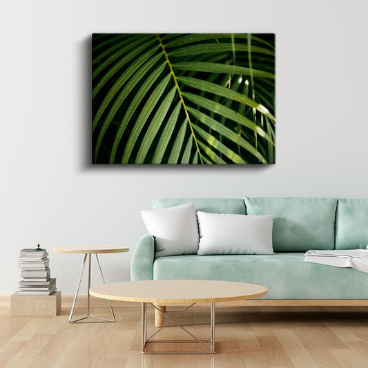 Palmiye Yaprağı - Koyu Fonlu Minimal Kanvas Tablo