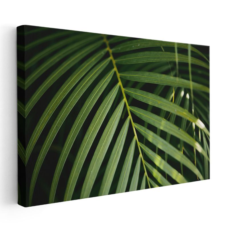 Palmiye Yaprağı - Koyu Fonlu Minimal Kanvas Tablo