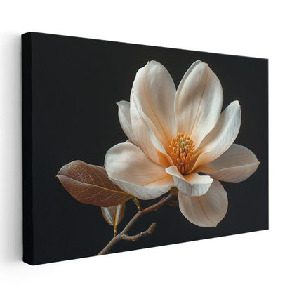 Magnolya Çiçeği - Siyah Zeminde Detaylı Botanik İllüstrasyon Kanvas Tablo