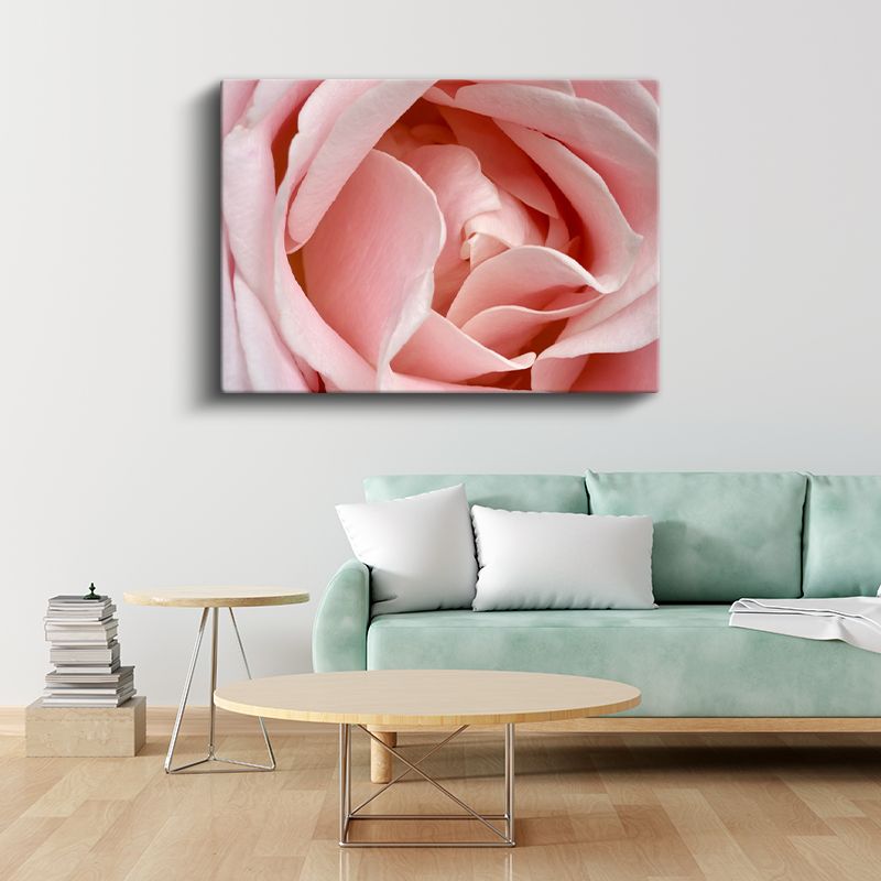 Pembe Gül - Makro Çekim Yumuşak Petal Detayları Kanvas Tablo