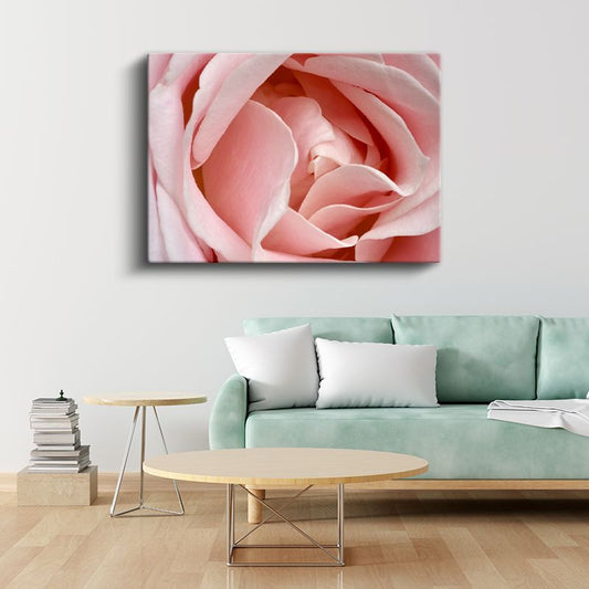 Pembe Gül - Makro Çekim Yumuşak Petal Detayları Kanvas Tablo