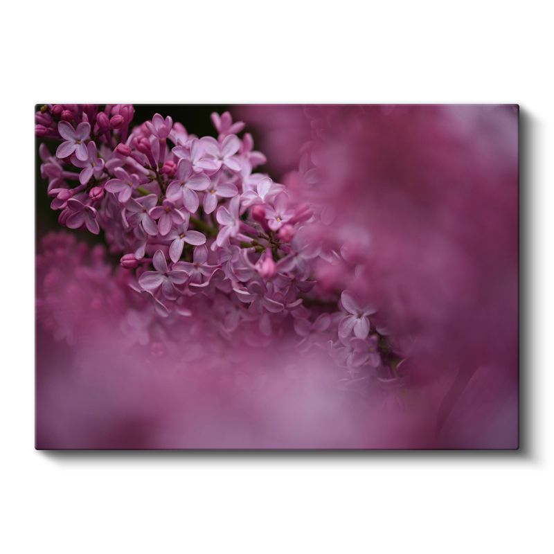 Leylak Çiçekleri - Pembe Tonlarda Romantik Portre Kanvas Tablo