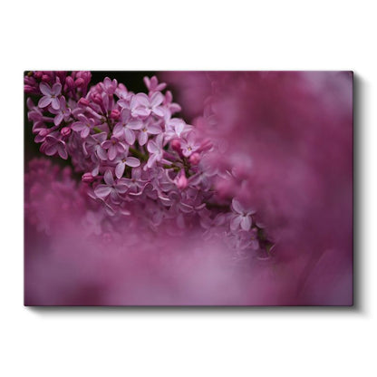 Leylak Çiçekleri - Pembe Tonlarda Romantik Portre Kanvas Tablo