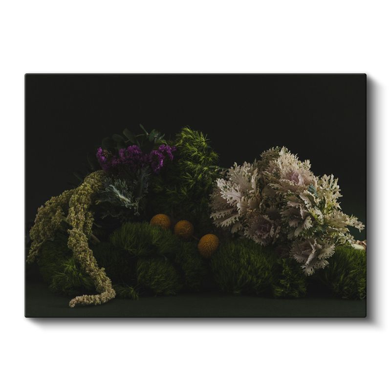 Yeşil Bitkiler - Siyah Fonda Doğal Kompozisyon Kanvas Tablo