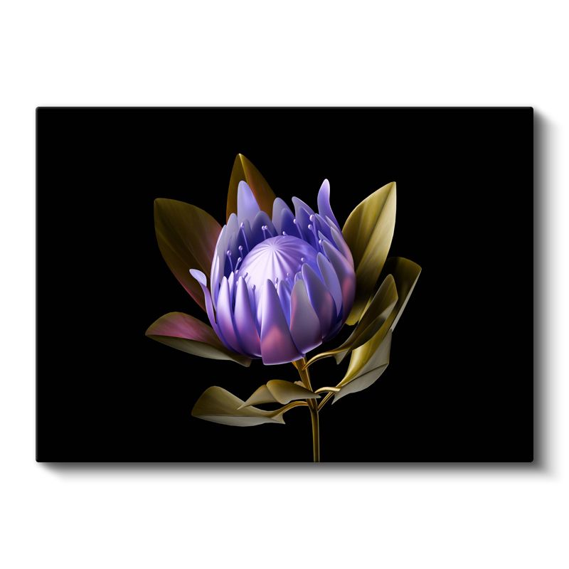 Mor Protea - Siyah Fonda Egzotik Çiçek Portresi Kanvas Tablo
