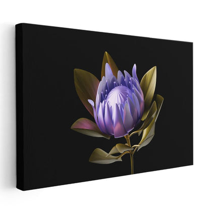 Mor Protea - Siyah Fonda Egzotik Çiçek Portresi Kanvas Tablo