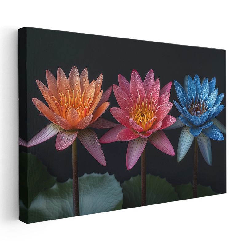 Renkli Nilüferler - Siyah Fonda Çiy Damlacıklı Çiçekler Kanvas Tablo