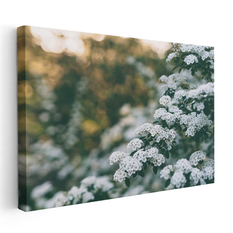 Beyaz Çiçekler - Doğal Buket Kompozisyonu Kanvas Tablo