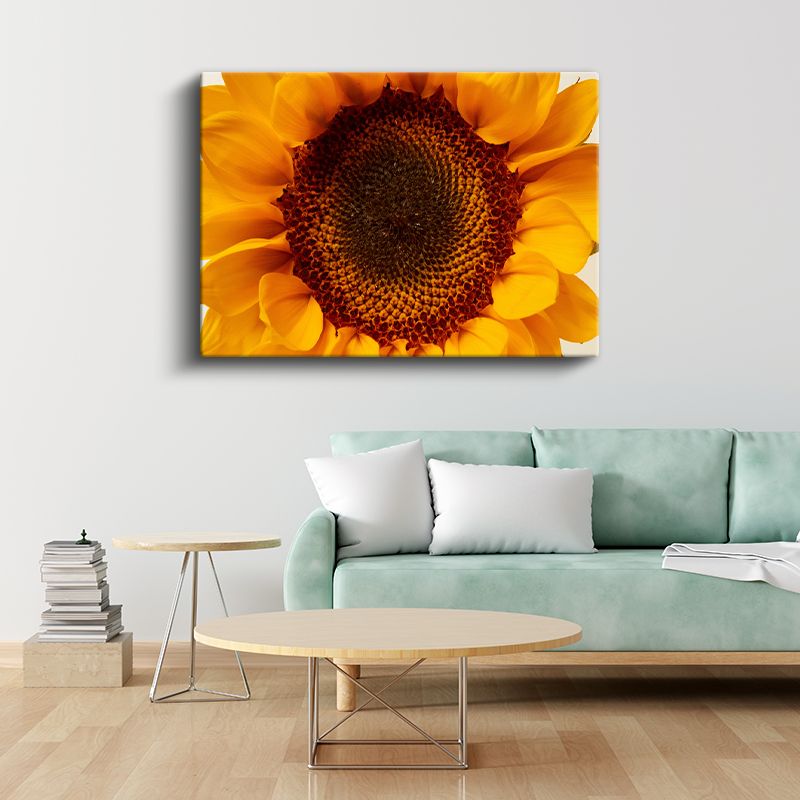 Ayçiçeği - Sarı Turuncu Makro Çekim Detayı Kanvas Tablo