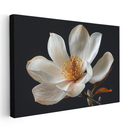 Beyaz Manolya - Altın Tozlu Zarif Çiçek Portresi Kanvas Tablo