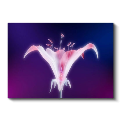 Neon Zambak - Mor Fonda Işıltılı Çiçek Silüeti Kanvas Tablo