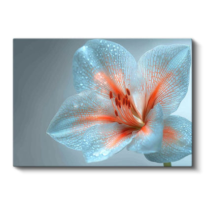 Mavi Zambak - Çiy Damlacıklı Zarif Çiçek Portresi Kanvas Tablo