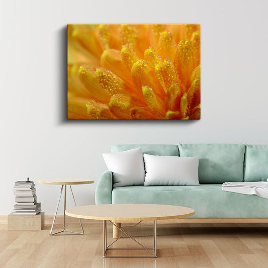 Turuncu Polen - Çiy Damlacıklı Makro Çiçek Detayı Kanvas Tablo