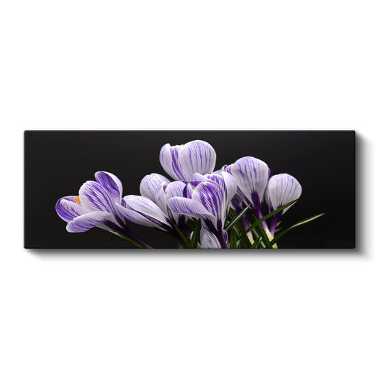 Mor Çiğdemler - Siyah Fonda Zarif Çizgili Çiçekler Kanvas Tablo