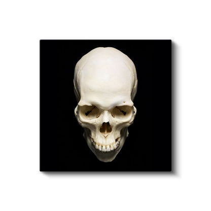 Kafatası - Siyah Zeminde Anatomik Detay Kanvas Tablo