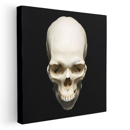 Kafatası - Siyah Zeminde Anatomik Detay Kanvas Tablo