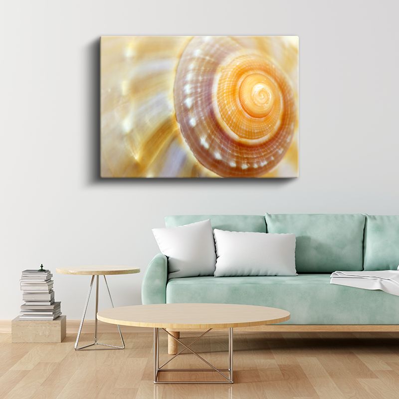 Deniz Kabuğu - Altın Spiral Desen Kanvas Tablo