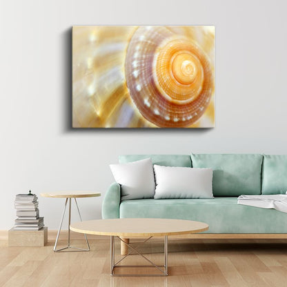 Deniz Kabuğu - Altın Spiral Desen Kanvas Tablo