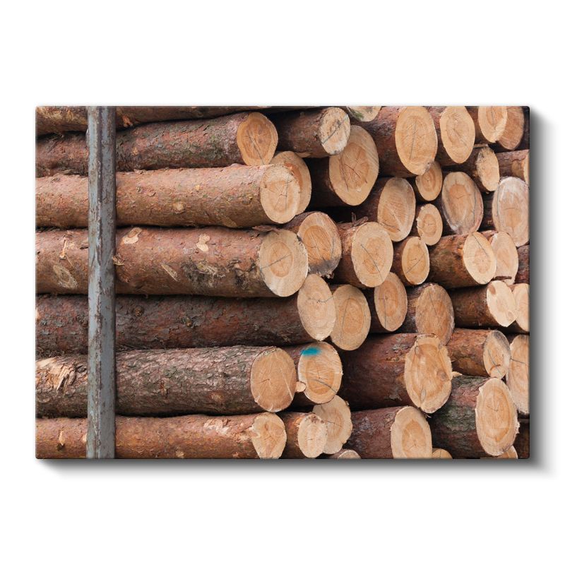 Odun Kütükleri - Doğal Ahşap Dokusu Kanvas Tablo