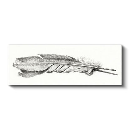 Kuş Tüyü Çizimi - Zarif Karakalem Sanatı Kanvas Tablo