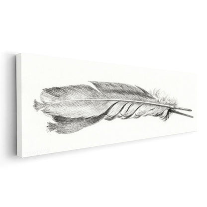 Kuş Tüyü Çizimi - Zarif Karakalem Sanatı Kanvas Tablo