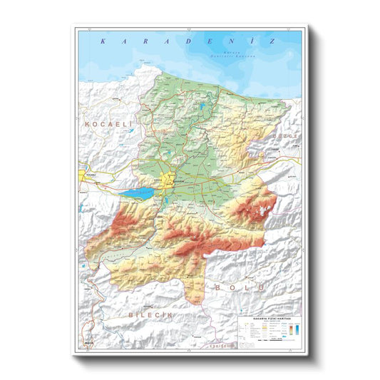 Sakarya - Fiziki Haritası Kanvas Tablo