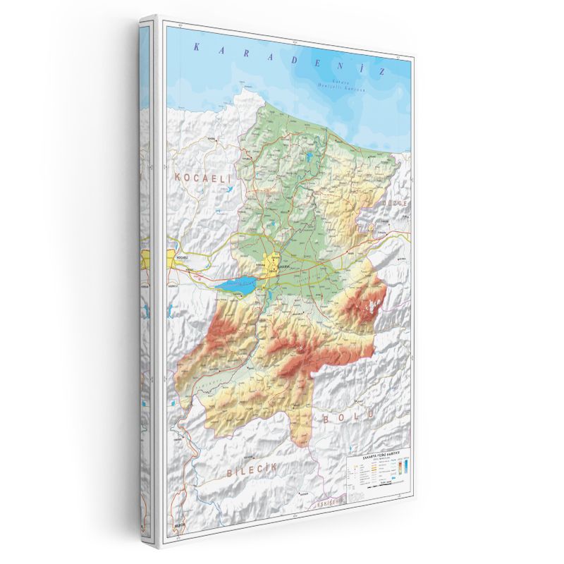 Sakarya - Fiziki Haritası Kanvas Tablo