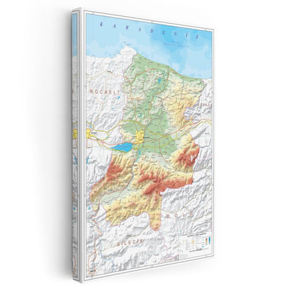 Sakarya - Fiziki Haritası Kanvas Tablo