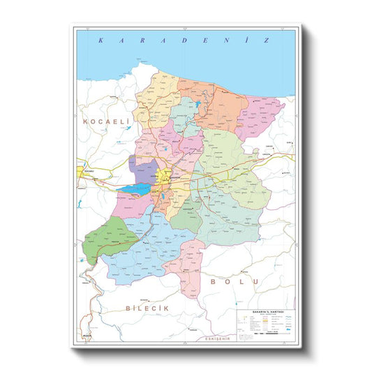Sakarya - İl Haritası Kanvas Tablo