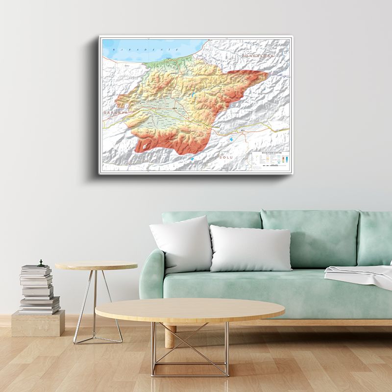 Düzce - Fiziki Haritası Kanvas Tablo