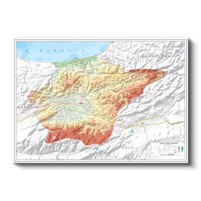 Düzce - Fiziki Haritası Kanvas Tablo