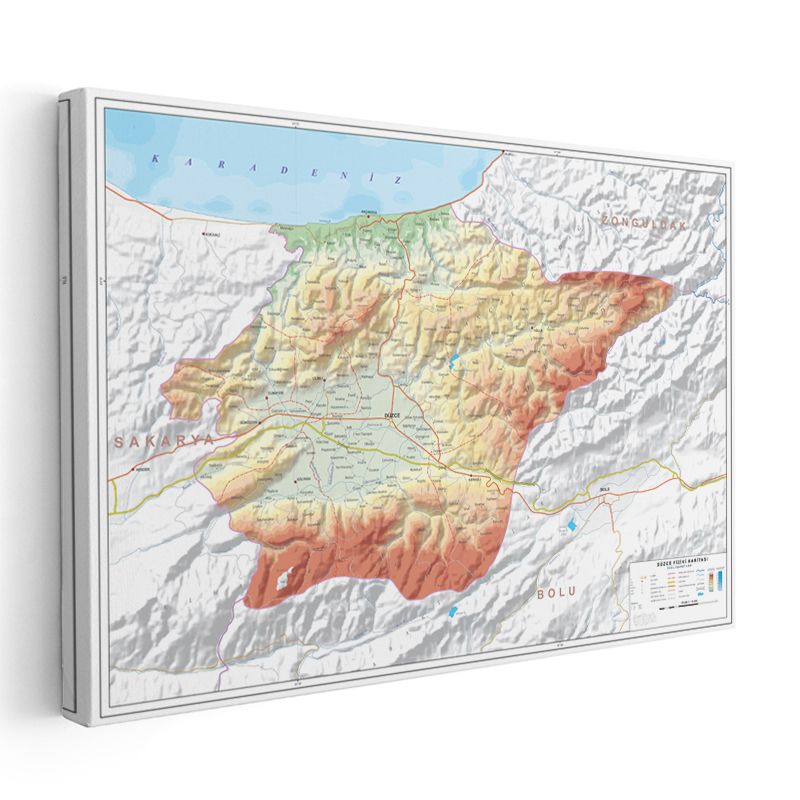 Düzce - Fiziki Haritası Kanvas Tablo